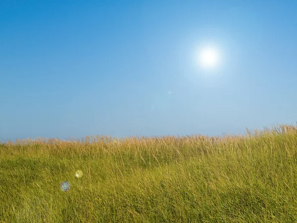 绿色和黄色沙滩草地上明确和阳光明媚的一天 — 图库照片