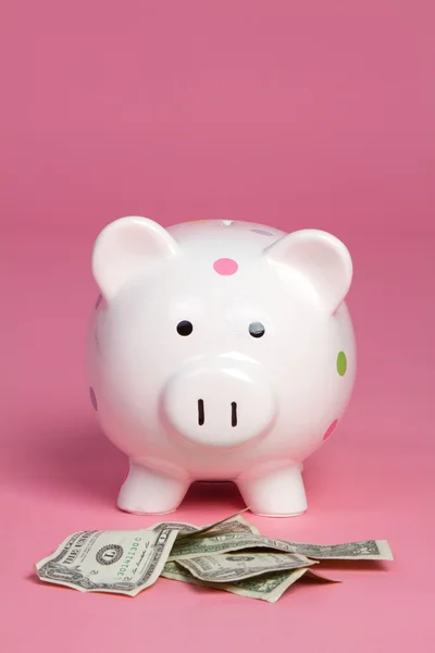 Cerdo dinero —  Fotos de Stock