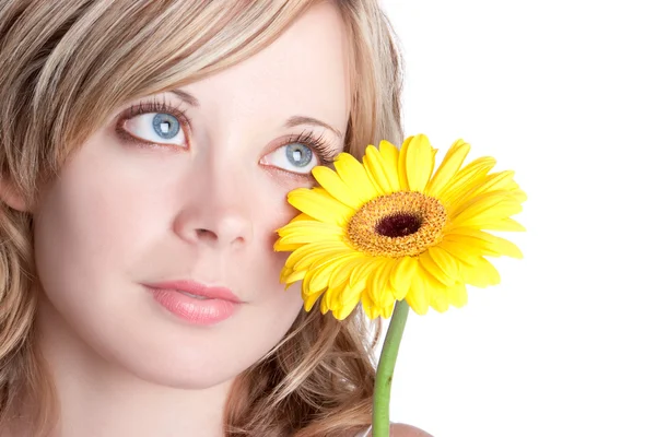 Sárga virág nő — Stock Fotó