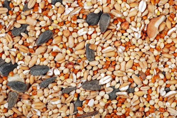 Fundo de sementes de aves mistas — Fotografia de Stock