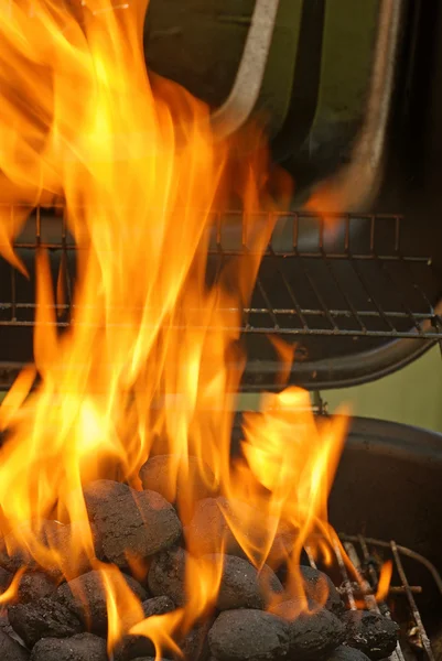 开始烧制木炭烧烤 — 图库照片