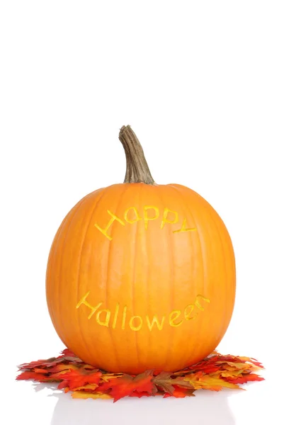 Abóbora de Halloween esculpida em folhas de outono — Fotografia de Stock