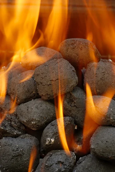 Bricchetti barbecue a carbone — Foto Stock
