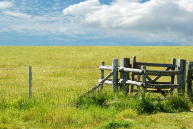 Gate with green meadow clipart