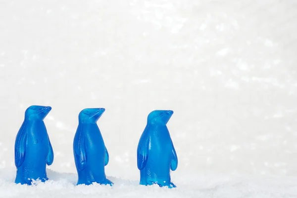 Τρεις μπλε πιγκουΐνους στο χιόνι — Φωτογραφία Αρχείου