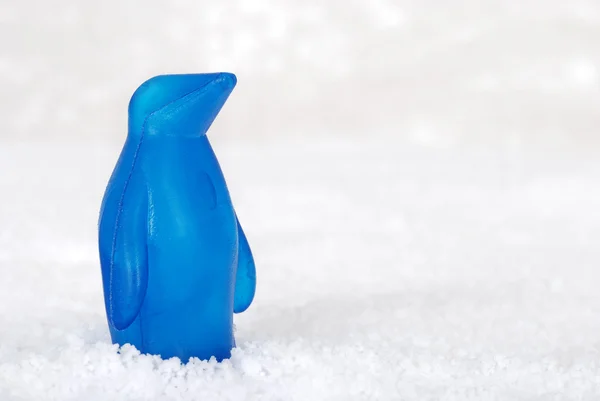 在雪中的蓝色企鹅 — 图库照片