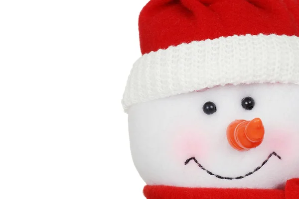 stock image Macro snowman face