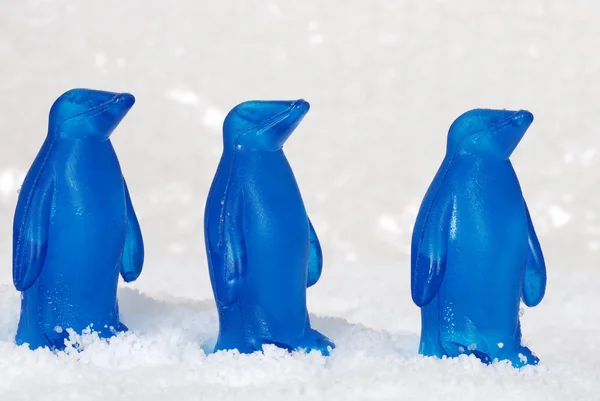 Macro tre pinguini blu — Foto Stock