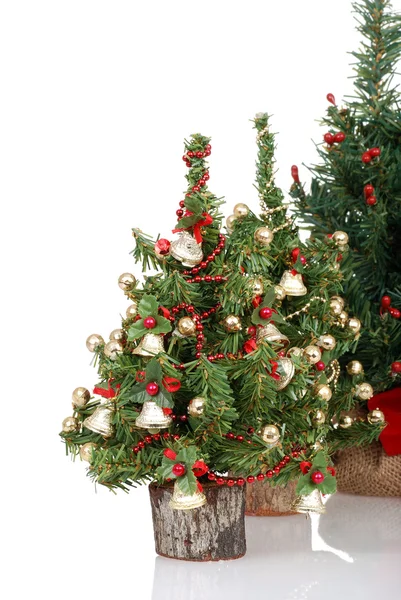 Row of christmas trees — Stock Photo, Image