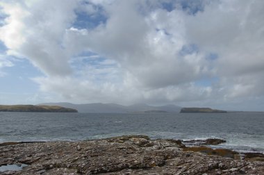 McLeod'un tablolardaki verileri oronsay