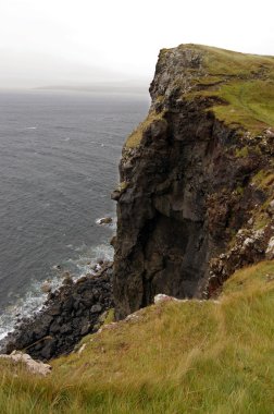 Deniz cliff üzerinde oronsay