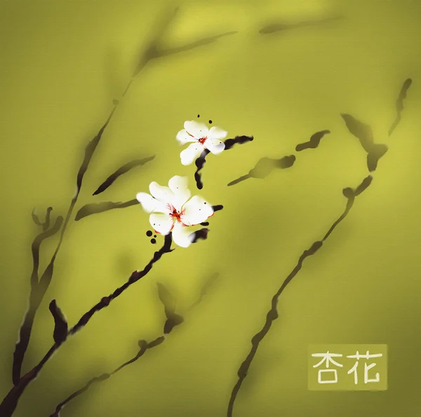 Aprikos blossom akvarell — Stockfoto