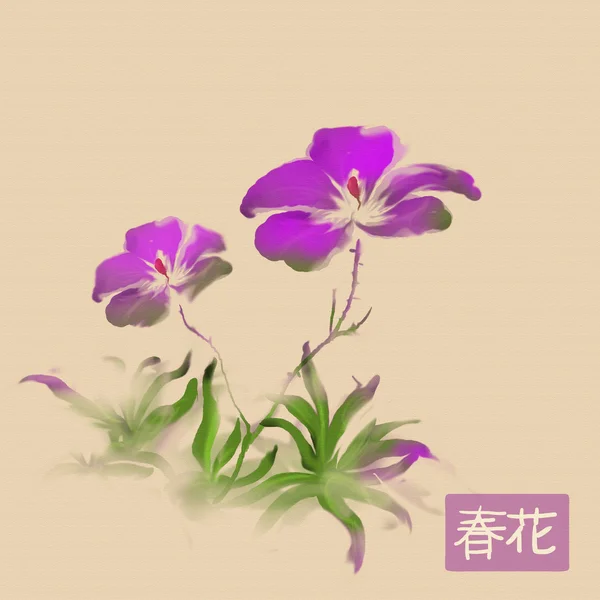 Sumi-e spring flowers — Stock Photo, Image