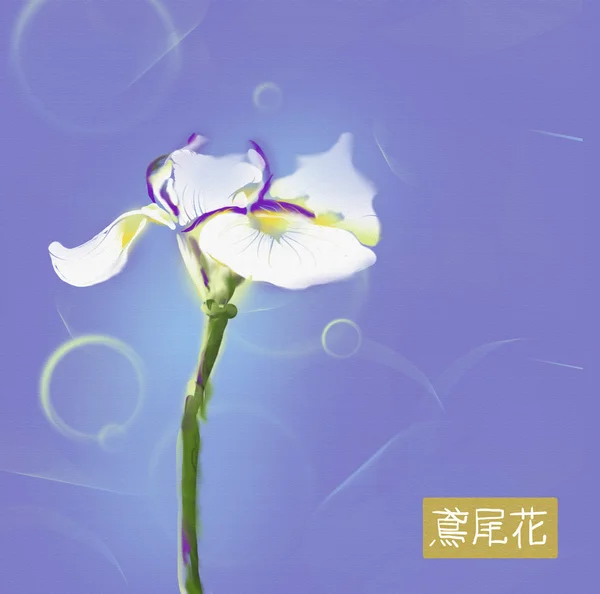 Iris bloem Japanse aquarel Rechtenvrije Stockafbeeldingen
