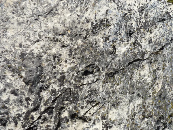 Closeup of a Rock — Stock Photo, Image