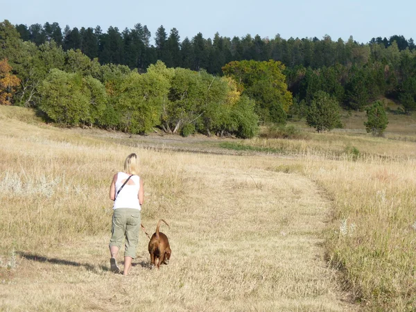 Frauen gehen mit Hund auf einer Wiese spazieren Stockbild