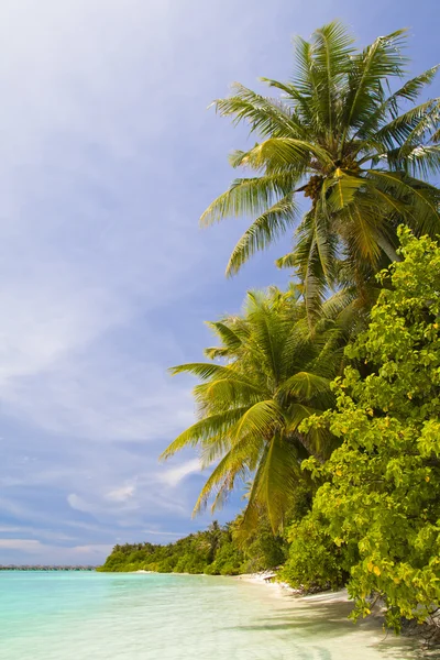 Incredibile spiaggia tropicale — Foto Stock