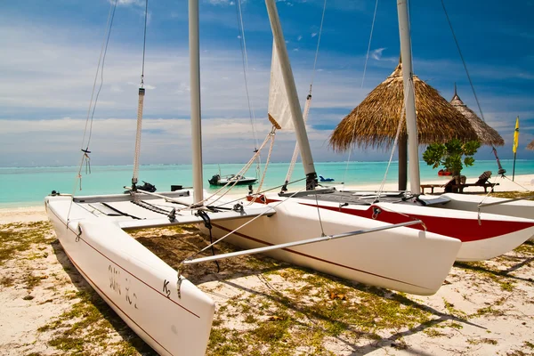 Catamaran at the tropical beach — Stock Photo, Image