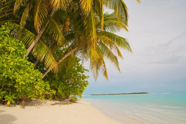 Niesamowite tropikalnej plaży — Zdjęcie stockowe
