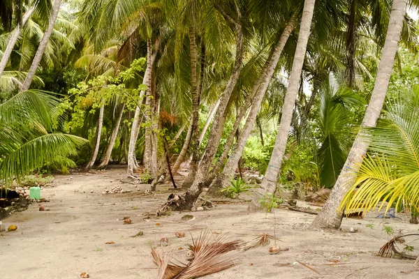 Tropikalnej plaży po burzy — Zdjęcie stockowe