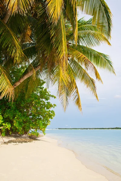 Verbazingwekkende tropisch strand — Stockfoto