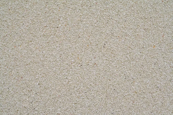 stock image Coral sand background