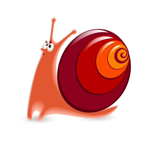 Cartoon Snail — Stock Vector