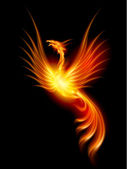 Égő phoenix