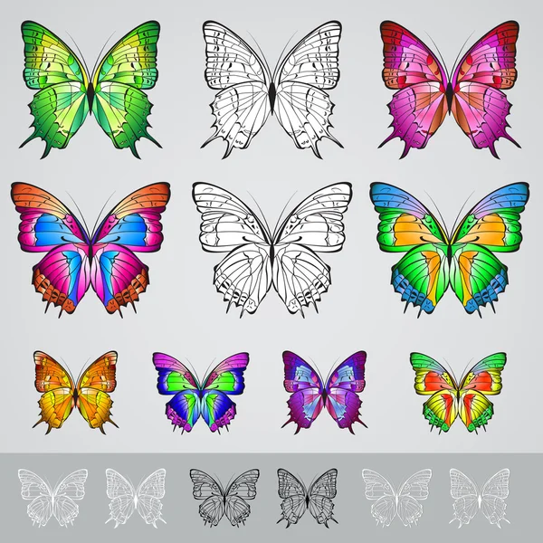 Uppsättning av olika färgade fjärilar — Stock vektor