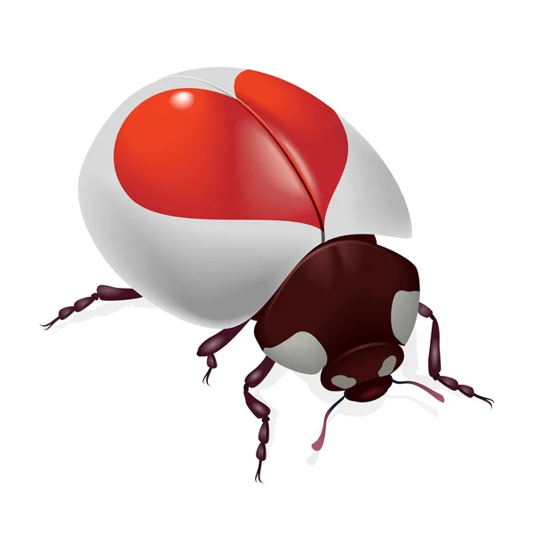 瓢虫用红色的心 — 图库矢量图片