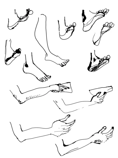 Schizzi di braccia e gambe — Vettoriale Stock