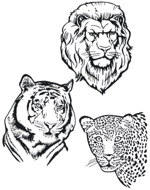 Three Predators, Lion, Tiger, Leopart clipart