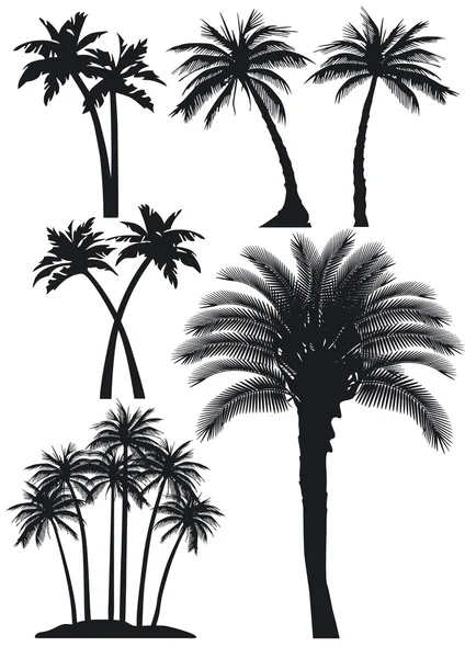 Palm trees set — Stock Vector