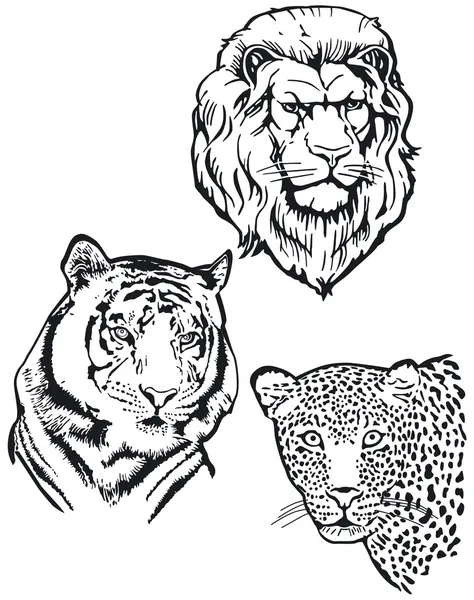 Drei Raubtiere, Löwe, Tiger, Leopard — Stockvektor