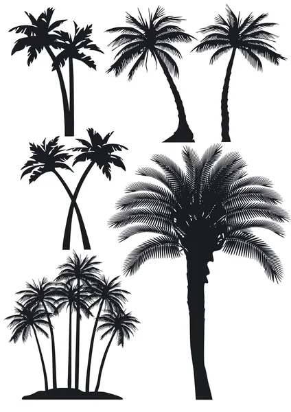 Ensemble de palmiers Illustrations De Stock Libres De Droits