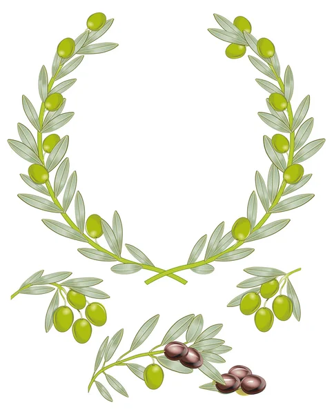 Olive branch — Wektor stockowy