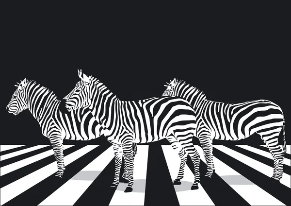 Zebra em passagem de pedestres — Vetor de Stock