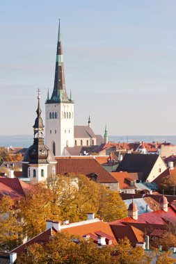 View to old Tallinn, Estonia clipart