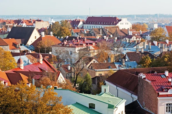View to old Tallinn, Estonia. — Stock Photo, Image