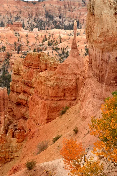 Bryce des canyons — Photo