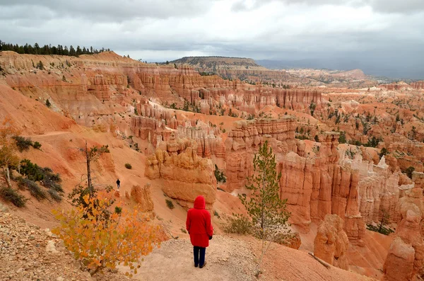 Bryce des canyons — Photo