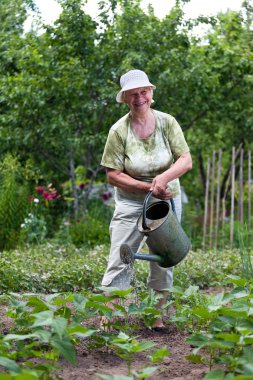 Senior woman working in garden clipart