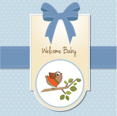 Hoş geldin küçük komik kuşlu bebek kartı