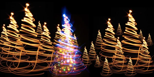 Kerstboom (bos) — Stockfoto