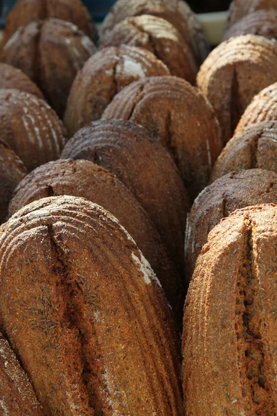 체코 빵 — 스톡 사진