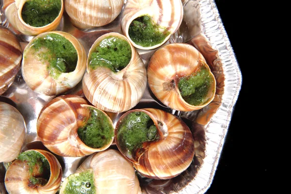 Les escargots comme nourriture gastronomique française — Photo