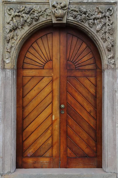 stock image Old door