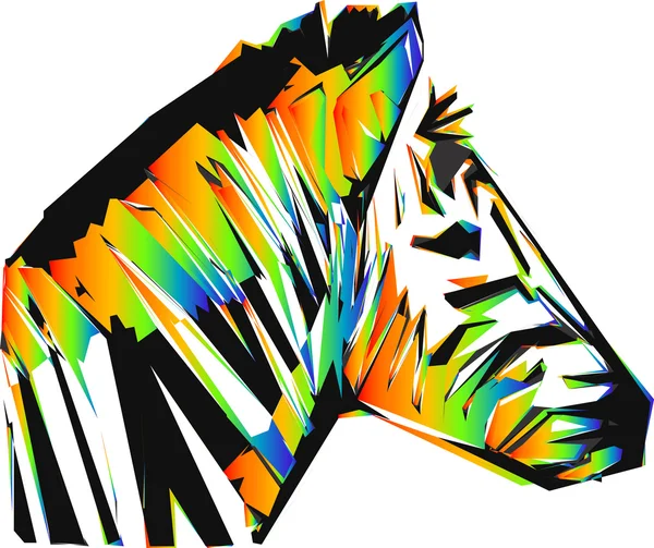 Color zebra head — Stock Vector