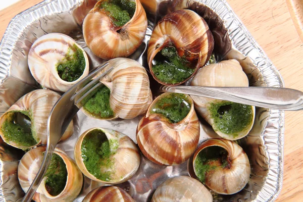 stock image Snails as nice french gourmet food background