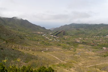 Portello. masca. Tenerife. İspanya